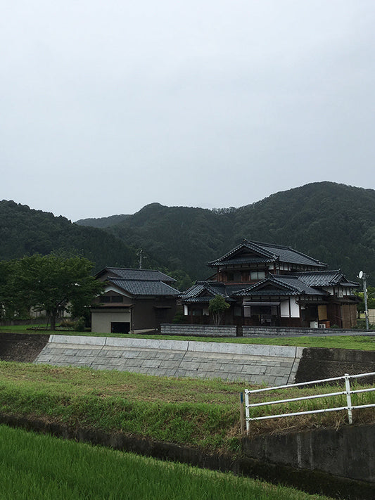 A scent of Japanese tea