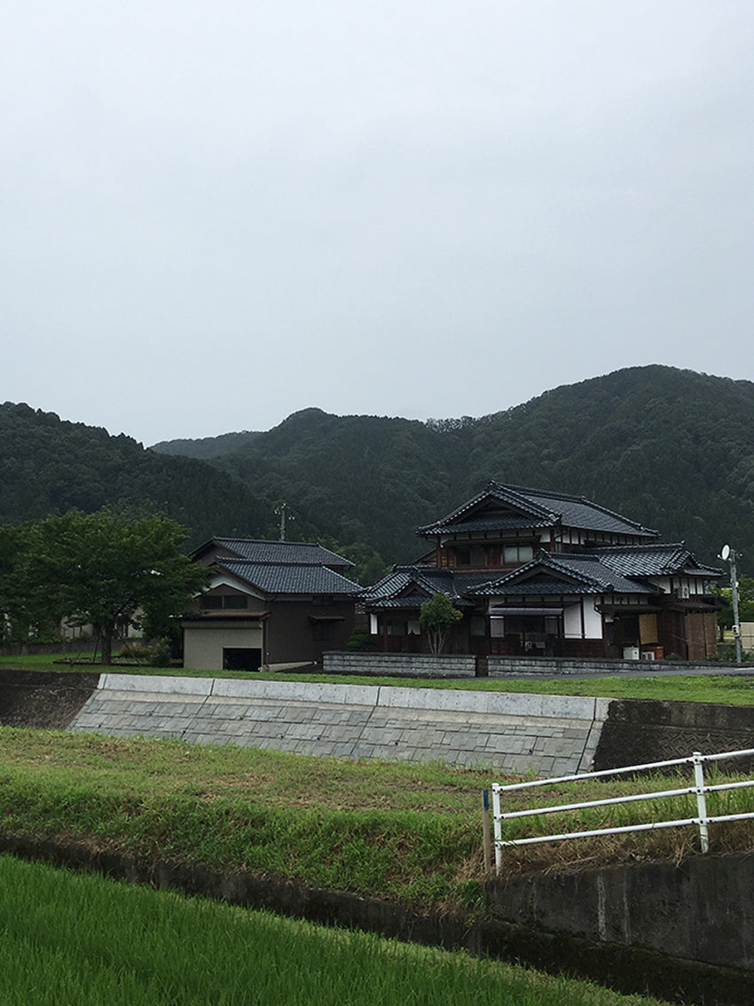 A scent of Japanese tea
